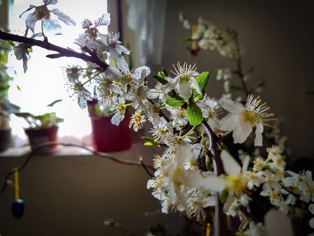 20160330_094000.jpg