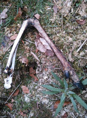 IMG-20160404-WA0001.jpg