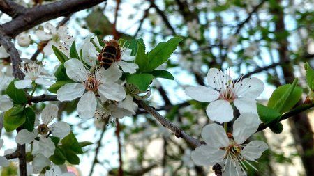 IMG_20160404_162134142_HDR.jpg
