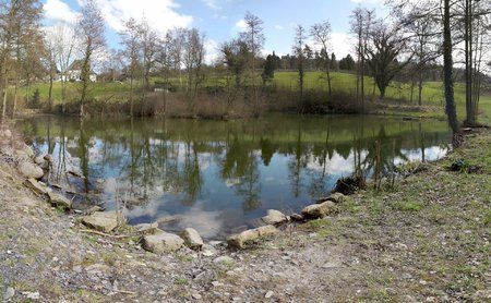 2016-03-26 14.47.15.jpg