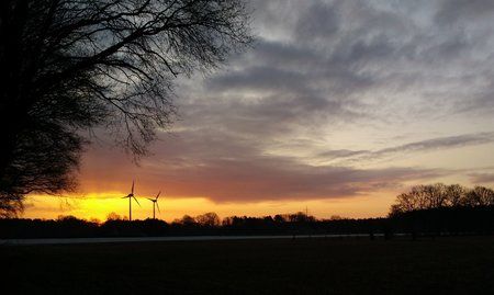 2016-04-08 06.53.00.jpg