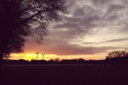 2016-04-08 06.53.30.jpg