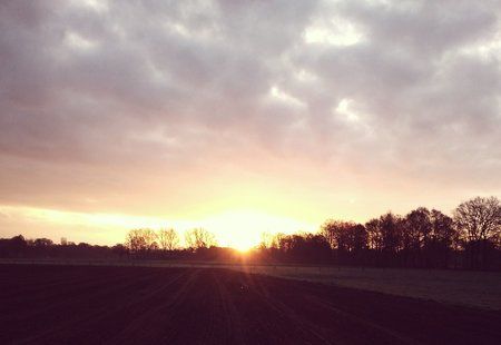 2016-04-08 06.57.53.jpg