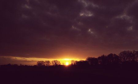 2016-04-08 06.58.24.jpg