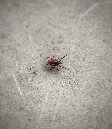 20160415_160719-01.jpeg