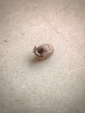 20160415_161010-01.jpeg