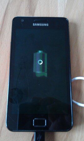IMAG0331.jpg