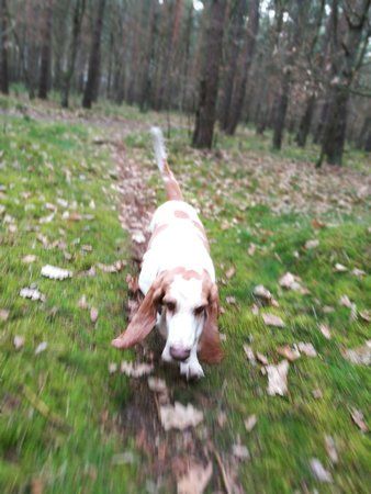 IMG_114841.jpg