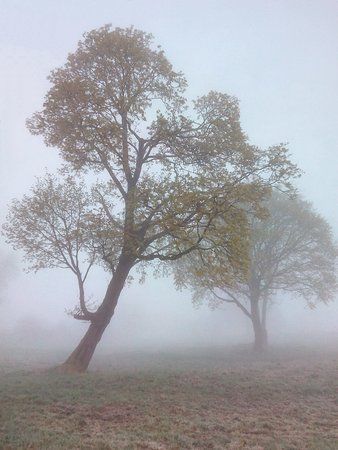 IMG_20160418_064304_1.jpg