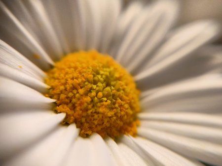 20160419_205140.jpg