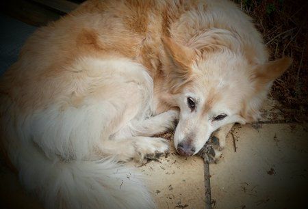 20160419_144128_HDR~2.jpg