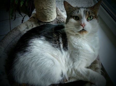 20160420_182313_HDR~2.jpg