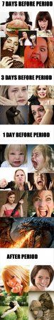 funny-pictures-dumpaday-18.jpg