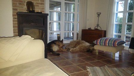 20160428_204307.jpg