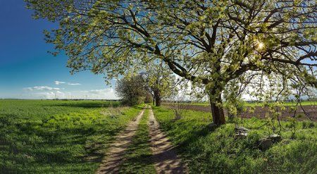 20160426_174319-Pano.jpg