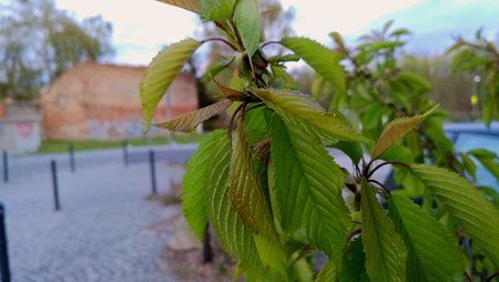 IMG_20160429_015032.jpg