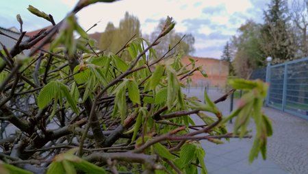 IMG_20160429_015250.jpg