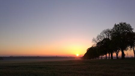 IMG_20160429_054746.jpg