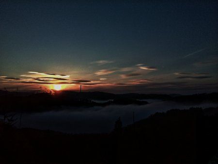 IMG_20160429_062442-01.jpeg