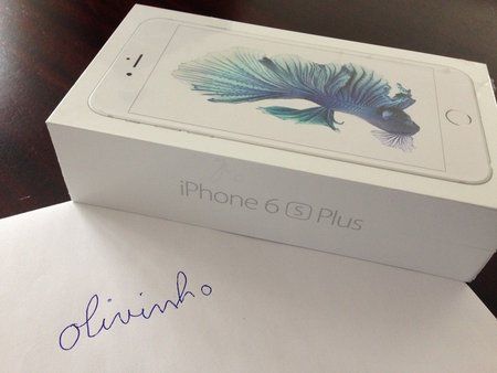 iP6sP.jpeg