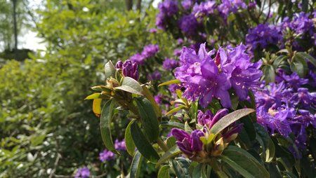 IMG_20160501_134456.jpg