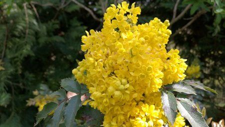 IMG_20160501_133228.jpg
