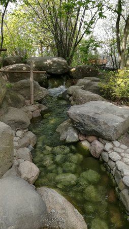 IMG_20160501_133852.jpg