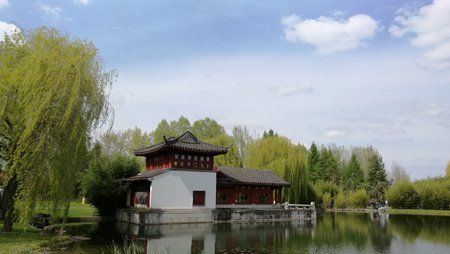 IMG_20160501_130536.jpg