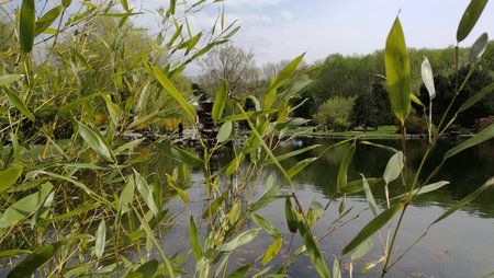 IMG_20160501_130318.jpg