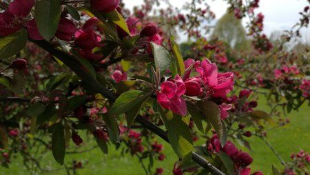 IMG_20160501_125836.jpg