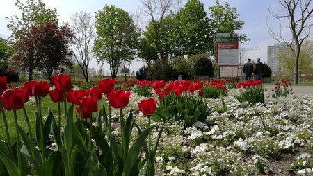 IMG_20160501_125345.jpg