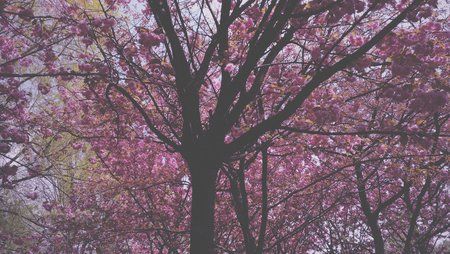 2016-05-01 03.50.23 1.jpg