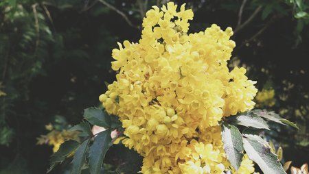 2016-05-01 03.48.48 1.jpg