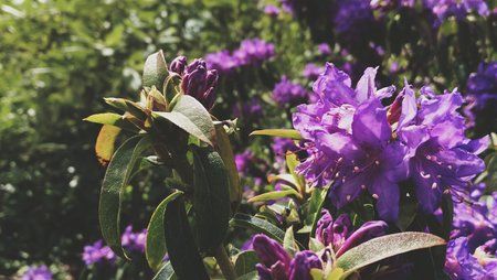 2016-05-01 03.16.41 1.jpg