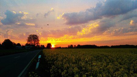 IMAG0032.jpg