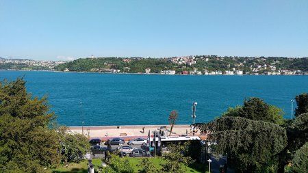 IMAG0245.jpg