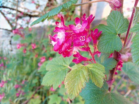 IMG_20160504_061812_1.jpg