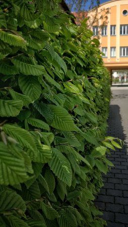 IMG_20160505_143911-01.jpeg