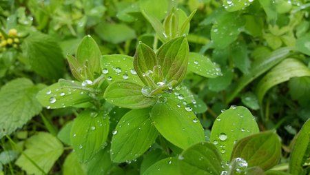 20160502_122116.jpg