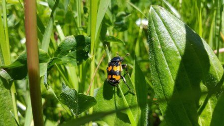 20160505_133526.jpg