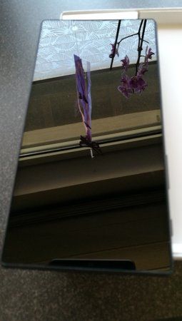 IMG_20160506_150512.jpg