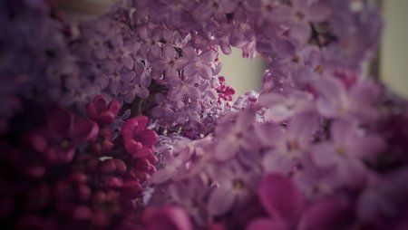 IMG_20160508_115228-01.jpeg