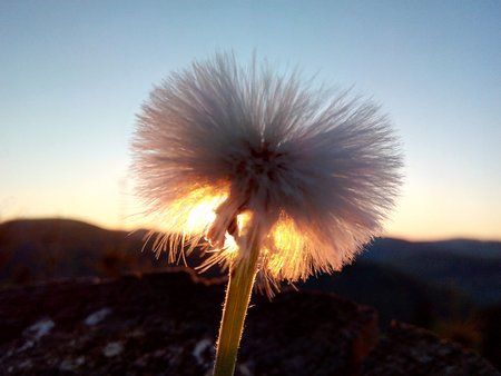 IMG_20160509_060236_1.jpg