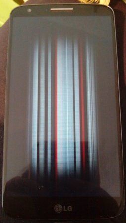 IMG_20160509_165004.jpg