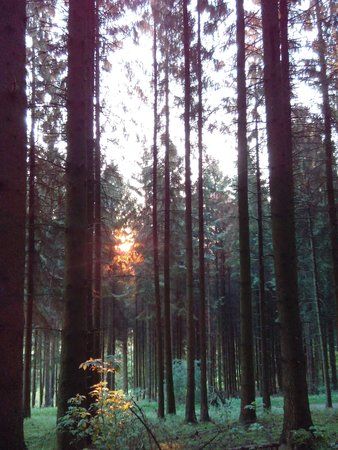 IMG_20160512_055905.jpg