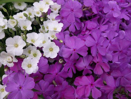 IMG_20160512_200348.jpg