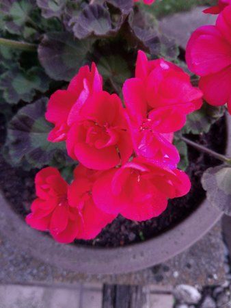 IMG_20160512_200309.jpg