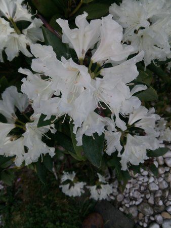 IMG_20160512_200236.jpg