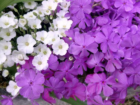 IMG_20160512_200339.jpg