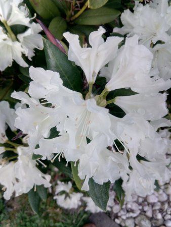 IMG_20160512_200218.jpg